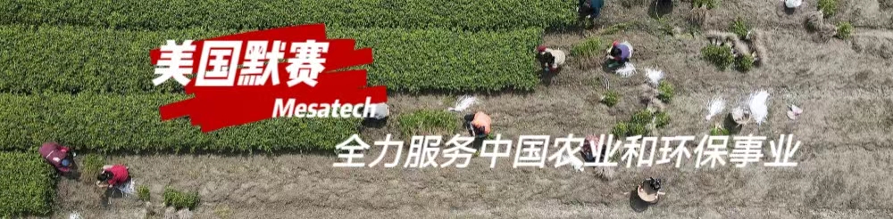 美国默赛